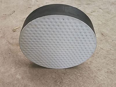 长海县四氟板式橡胶支座易于更换缓冲隔震